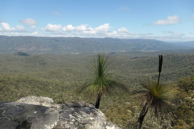 Property 29, Rocky River Road, Rocky River NSW 2372 IMAGE 0