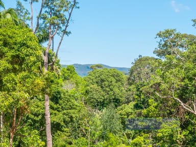 Property 16A Azalea Street, MULLUMBIMBY NSW 2482 IMAGE 0