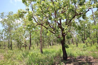 Property 195 Crater Lake Road, Batchelor NT 0845 IMAGE 0