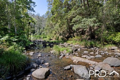 Property 1198 Horseshoe Creek Road, UPPER HORSESHOE CREEK NSW 2474 IMAGE 0