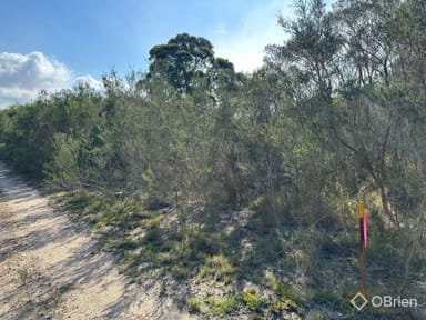 Property 5, 22 View Hill Avenue, Hollands Landing VIC 3862 IMAGE 0