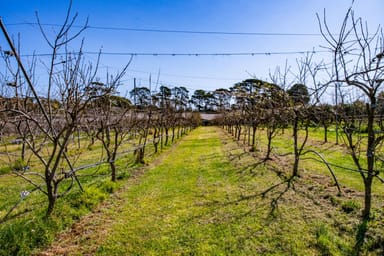 Property 140 Niclins Road, Mangrove Mountain NSW 2250 IMAGE 0