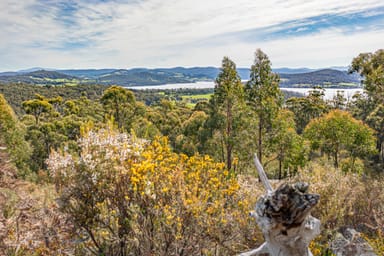 Property Lot 1, Huon Highway, SURGES BAY TAS 7116 IMAGE 0