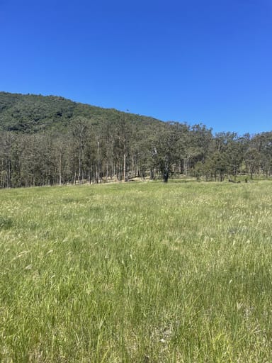 Property Lot 131 Bunnoo River Road, ELLENBOROUGH NSW 2446 IMAGE 0