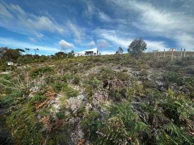 Property 4 Sunrise Court, SCAMANDER TAS 7215 IMAGE 0