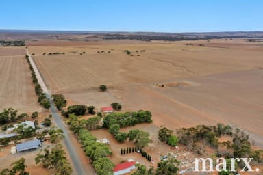 Property 30 Rice Street, Dutton SA 5356 IMAGE 0