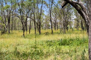 Property "Keheler Park" Lot89 Springate Lane, Pratten QLD 4370 IMAGE 0