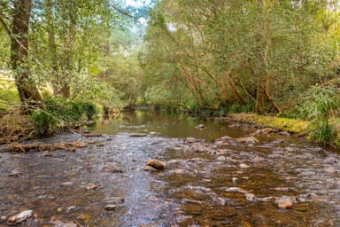 Property Lot 24 209 Tobins River Road, MOUNT SEAVIEW NSW 2446 IMAGE 0