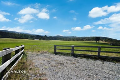 Property 1945 Brayton Road, Big Hill NSW 2579 IMAGE 0