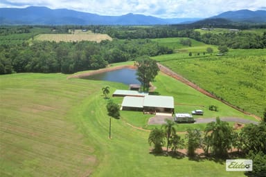 Property 232 Dingo Pocket Road, Dingo Pocket QLD 4854 IMAGE 0