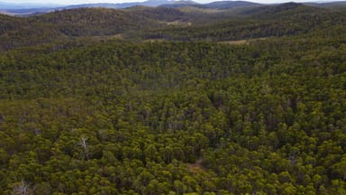 Property 1, 1166 Prossers Road, Underwood TAS 7268 IMAGE 0