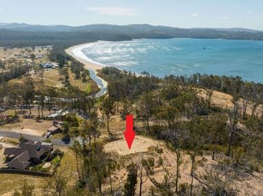 Property 16 Cornubia Place, Boydtown Via, Eden NSW 2551 IMAGE 0