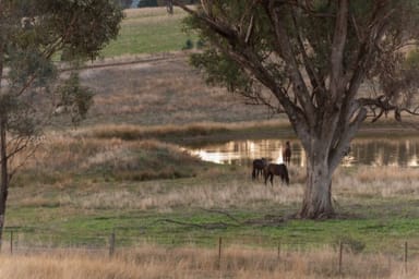 Property Lot 10 Wynyard Hill, Springvale NSW 2650 IMAGE 0