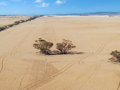 Property 'Barunga Wes' Tower View Road, Barunga Gap SA 5520 IMAGE 0