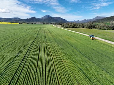 Property 118 Gratti Valley Road, NARRABRI NSW 2390 IMAGE 0