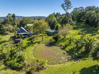 Property 63 Zouch Road, STONY CHUTE NSW 2480 IMAGE 0