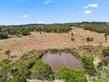 Property 153 Silverstream Road, Lower Boro NSW  IMAGE 0