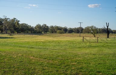 Property "Creekview" Newell Highway, ALECTOWN NSW 2870 IMAGE 0