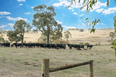 Property 390 Blampied-Kooroocheang Road, Blampied VIC 3364 IMAGE 0