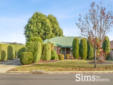 Property 36 Cheltenham Way, PROSPECT VALE TAS 7250 IMAGE 0