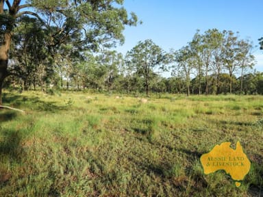 Property 159, Maidenwell Bunya Mountain Road, MAIDENWELL QLD 4615 IMAGE 0