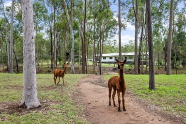 Property 37B Salt Springs Road, Glen Cairn QLD 4342 IMAGE 0