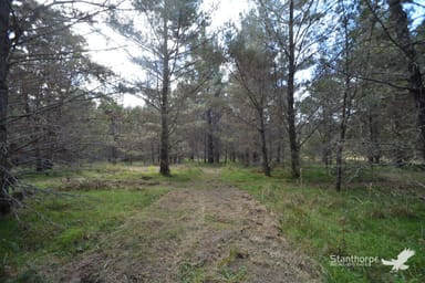Property 222, Sunrise Road, Sugarloaf QLD 4380 IMAGE 0