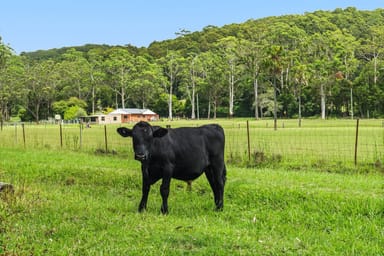 Property 22 Manns Road, Fountaindale NSW 2258 IMAGE 0