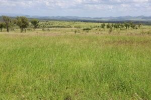 Property 10 Donovan Rd, Wycarbah QLD 4702 IMAGE 0