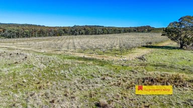 Property Lot 77/369 Montaza Road, Gulgong NSW 2852 IMAGE 0