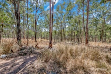 Property 103 Doughboy Road, DOUGHBOY QLD 4671 IMAGE 0