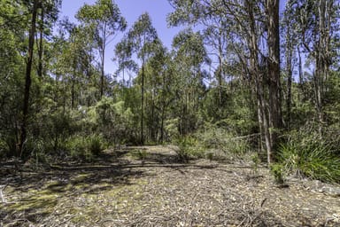 Property Lot 1 Jager Road, SOUTHPORT TAS 7109 IMAGE 0