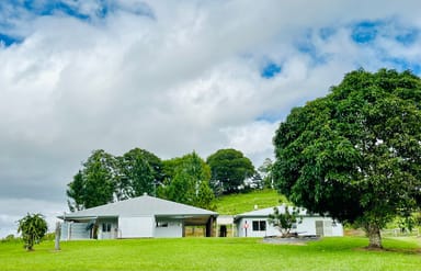 Property 1297 Mossman - Mt Molloy Road, JULATTEN QLD 4871 IMAGE 0