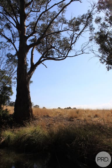 Property 168 Cilwen Road, Cambridge TAS 7170 IMAGE 0