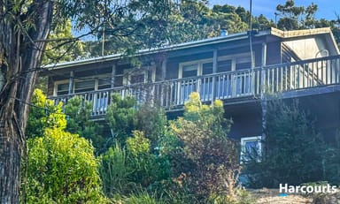 Property 12 Acacia Drive, ANSONS BAY TAS 7264 IMAGE 0