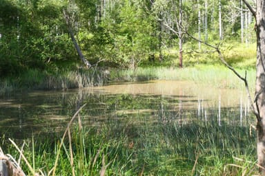 Property 146 Mills Road, Bean Creek NSW 2469 IMAGE 0