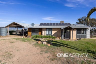 Property 195 BARCOO LANE, MAXWELL NSW 2650 IMAGE 0