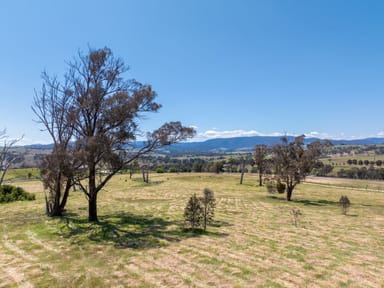 Property 1703 Mutton Falls Road, O'CONNELL NSW 2795 IMAGE 0