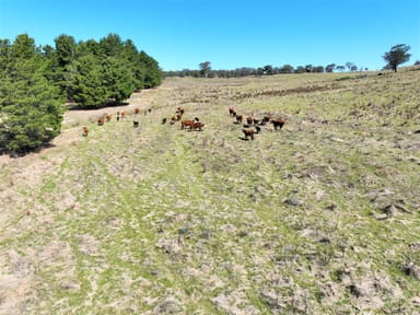 Property Lot 15 Losebys Road, Marulan NSW 2579 IMAGE 0