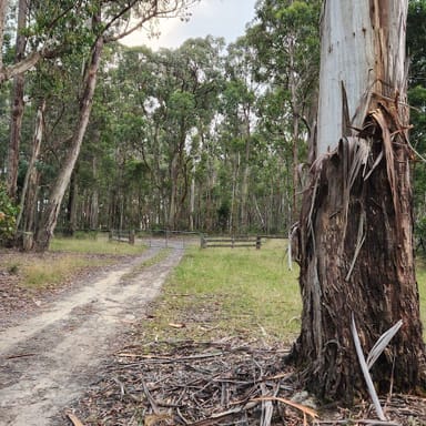 Property 60 Hickeys Road, TRENTHAM EAST VIC 3458 IMAGE 0