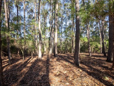 Property 9 Beattie Lane, Lochiel NSW 2548 IMAGE 0