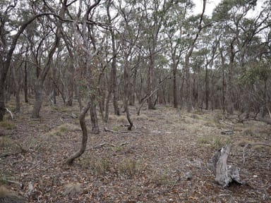 Property Lot One Grampians View Road, Beaufort VIC 3373 IMAGE 0