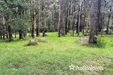 Property 160 Fisherman Drive, Reefton VIC 3799 IMAGE 0