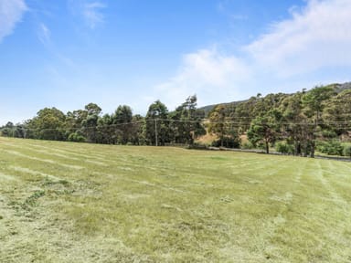Property 1103 Nook Road, Acacia Hills TAS 7306 IMAGE 0