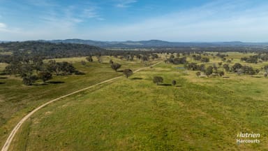 Property 778 Torryburn Road, Uralla NSW 2358 IMAGE 0