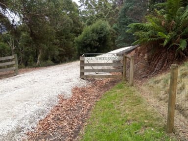 Property 220 Raymond Road, GUNNS PLAINS TAS 7315 IMAGE 0