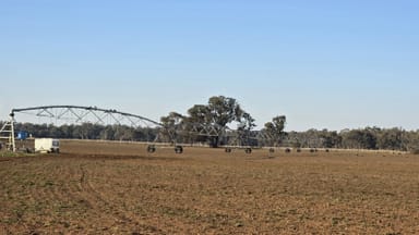 Property 823 Toolamba Road, TOOLAMBA VIC 3614 IMAGE 0