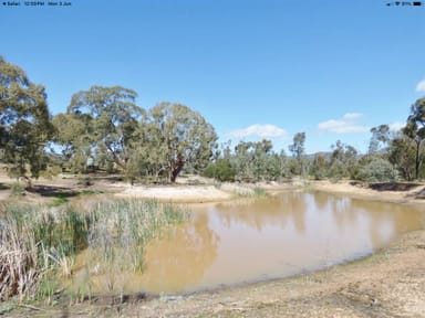 Property 169 Rosebrook-Glenisla Rd, WARTOOK VIC 3401 IMAGE 0