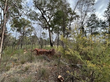 Property Lot 5 Pine Ridge Road, Condamine Farms QLD 4357 IMAGE 0