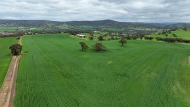 Property 126 Dumree Drive, Toodyay WA 6566 IMAGE 0